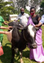 Anothiata Nyirashirambere is awarded a cow in recognition of her reconciliation work within her community.