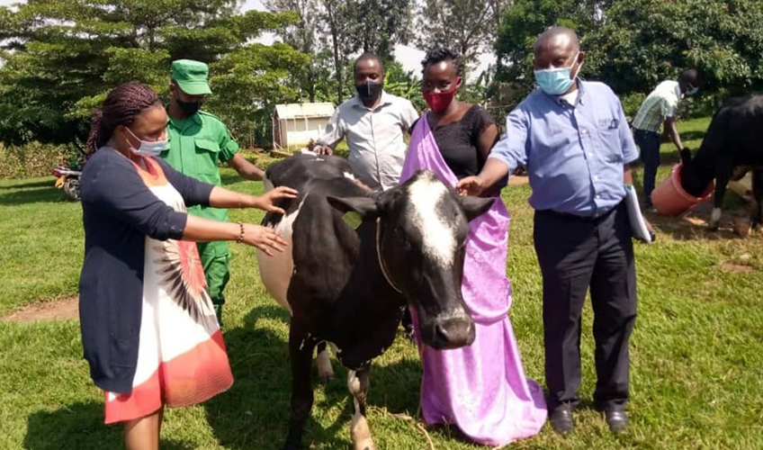 Anothiata Nyirashirambere is awarded a cow in recognition of her reconciliation work within her community.