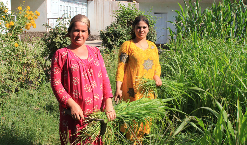 Two women collect grass.