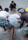 Villagers in Satkhira province, Bangladesh, laying down sandbags. Their village is severely affected by climate change, including rising water levels, erosion and salinisation.