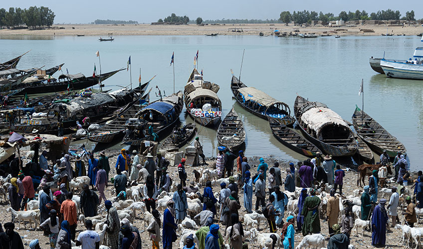 Herders sell their goats on the river bank 