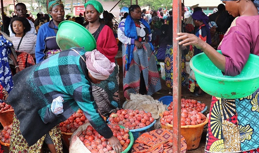 Tomato sellers in a hangar built by the MSL project.