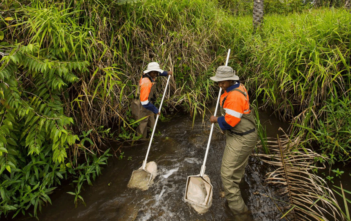 Community members rehabilitate mining areas supported by Base Titanium.