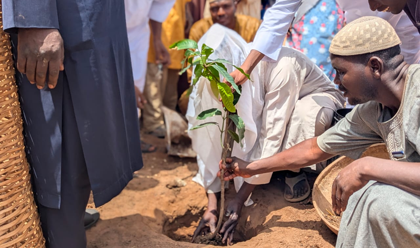 Community members at a tree-planting ceremony in Sokoto state for World Environment Day 2026. Photo: Sanusi Audu / International Alert.