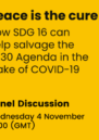 ‘Peace is the cure: How SDG 16 can help salvage the 2030 Agenda in the wake of COVID-19’