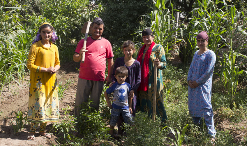 A family collect crops.